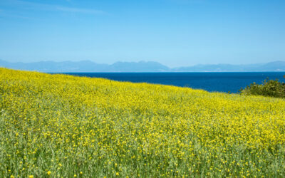 “Turismo e agroalimentare post Covid: come comunicare con successo” – I Webinar di Future4. Giovedì 10 giugno 2021, ore 16.30